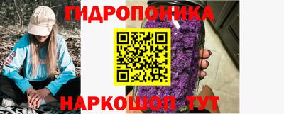 тгк Кингисепп