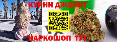 тгк Кингисепп