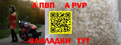 тгк Кингисепп